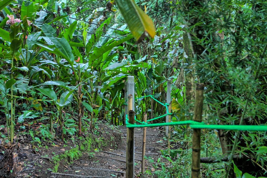 Hotel Mountain Paradise La Fortuna Exterior photo